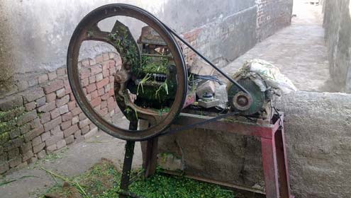 845201_84330176