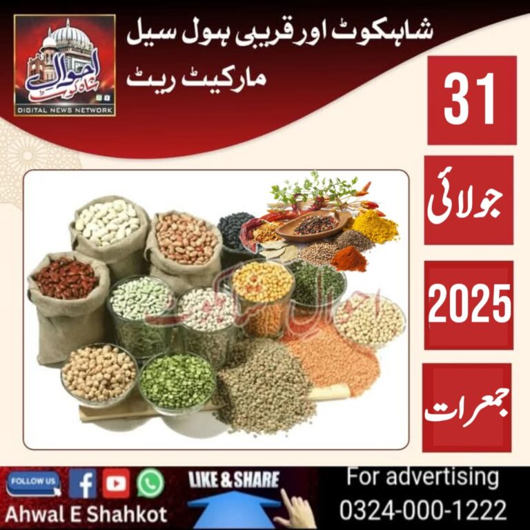 Untitled-1753933788595